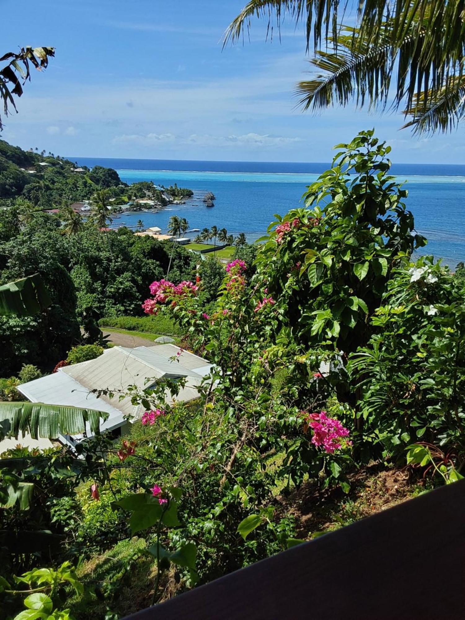 Fare Mahi Mahi Bed & Breakfast อุตูโรอา ภายนอก รูปภาพ